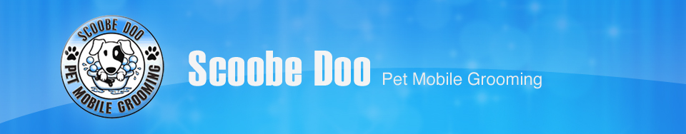 Scoobe Doo - Pet Mobile Grooming 1 ScoobeDoo_Header1a
